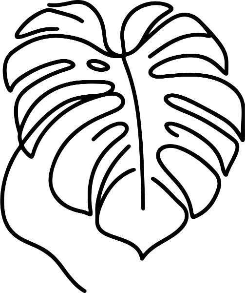 Monstera One Line Schwarz