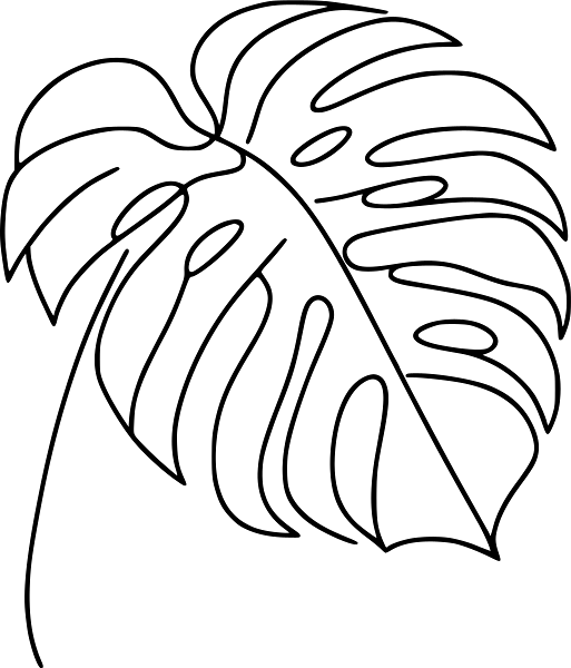 Monstera Blatt Schwarz