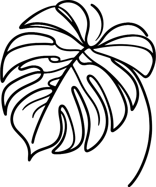 Monstera Linienkunst Schwarz